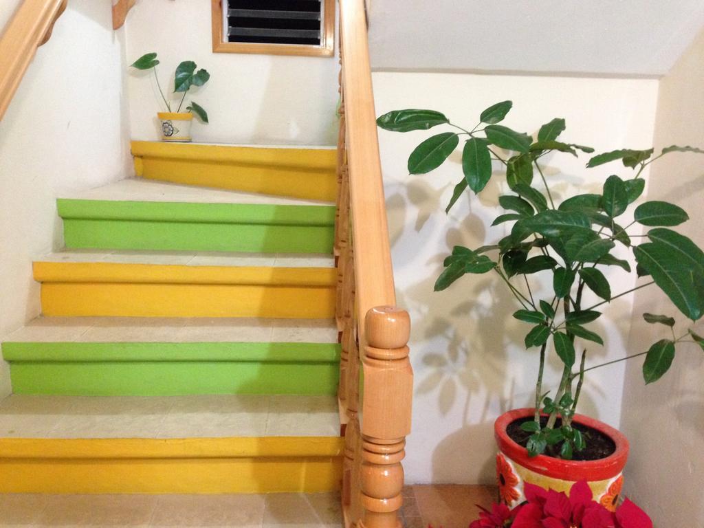 San Cristóbal de Las Casas Hotel Posada Las Rosas المظهر الخارجي الصورة